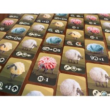 Stubborn Sheep