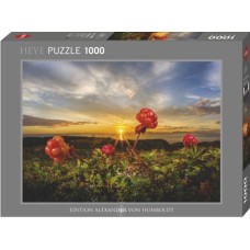 Puzzel Cloudberries 1000 Heye