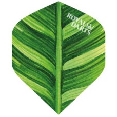 Dart Flights Leaf Painting Green Line