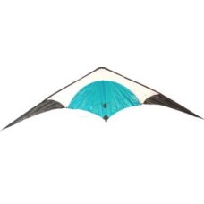 kites with carbon sticks