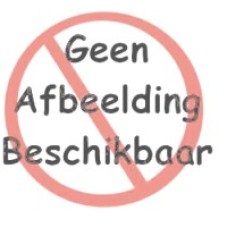 Honey Wall bordspel JD